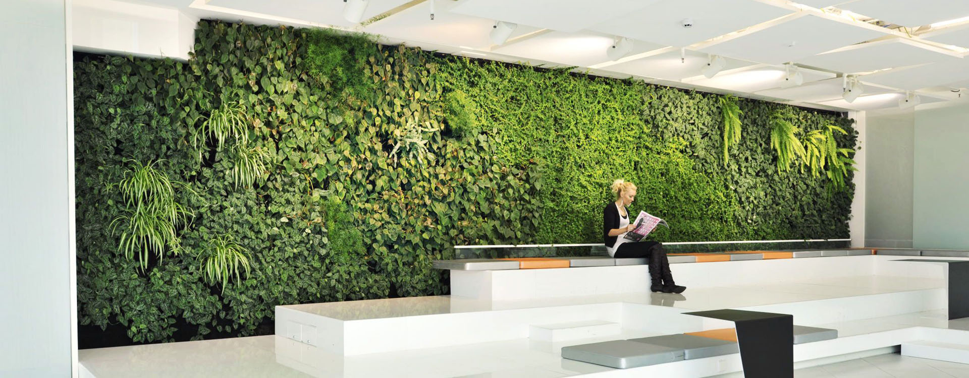 Green Walls