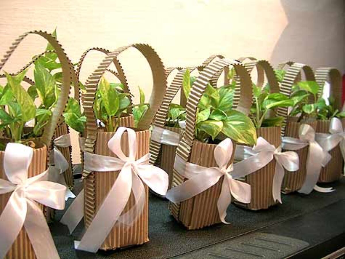 Give PLANTS as RETURN GIFTS for... - Thamboolam Events | Facebook